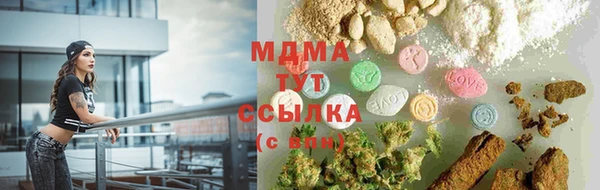шишки Аркадак