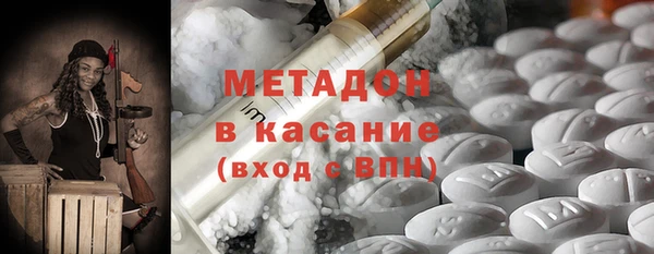 шишки Аркадак