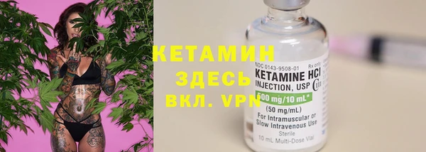 шишки Аркадак
