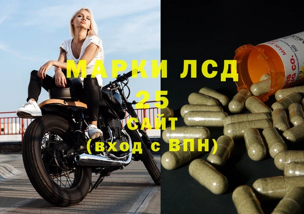шишки Аркадак
