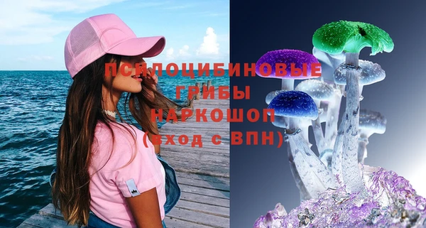шишки Аркадак