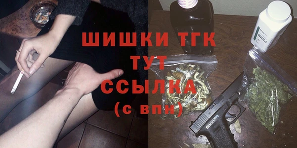 шишки Аркадак