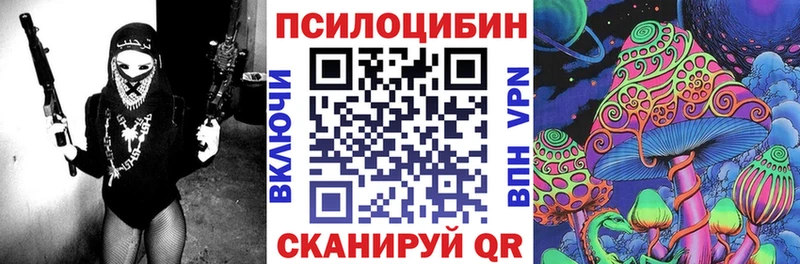где купить наркоту  Новороссийск  Галлюциногенные грибы мицелий 