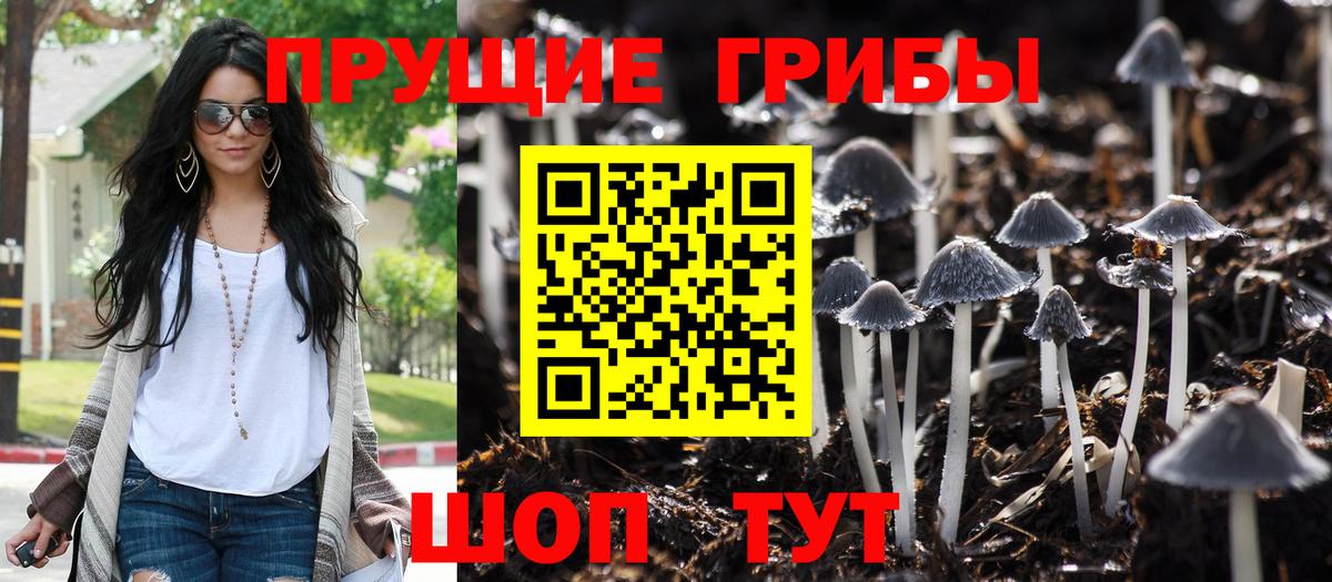 Галлюциногенные грибы Cubensis  Галлюциногенные грибы ЛСД  Новороссийск  Вход с VPN 