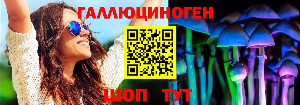 Галлюциногенные грибы мицелий Новороссийск